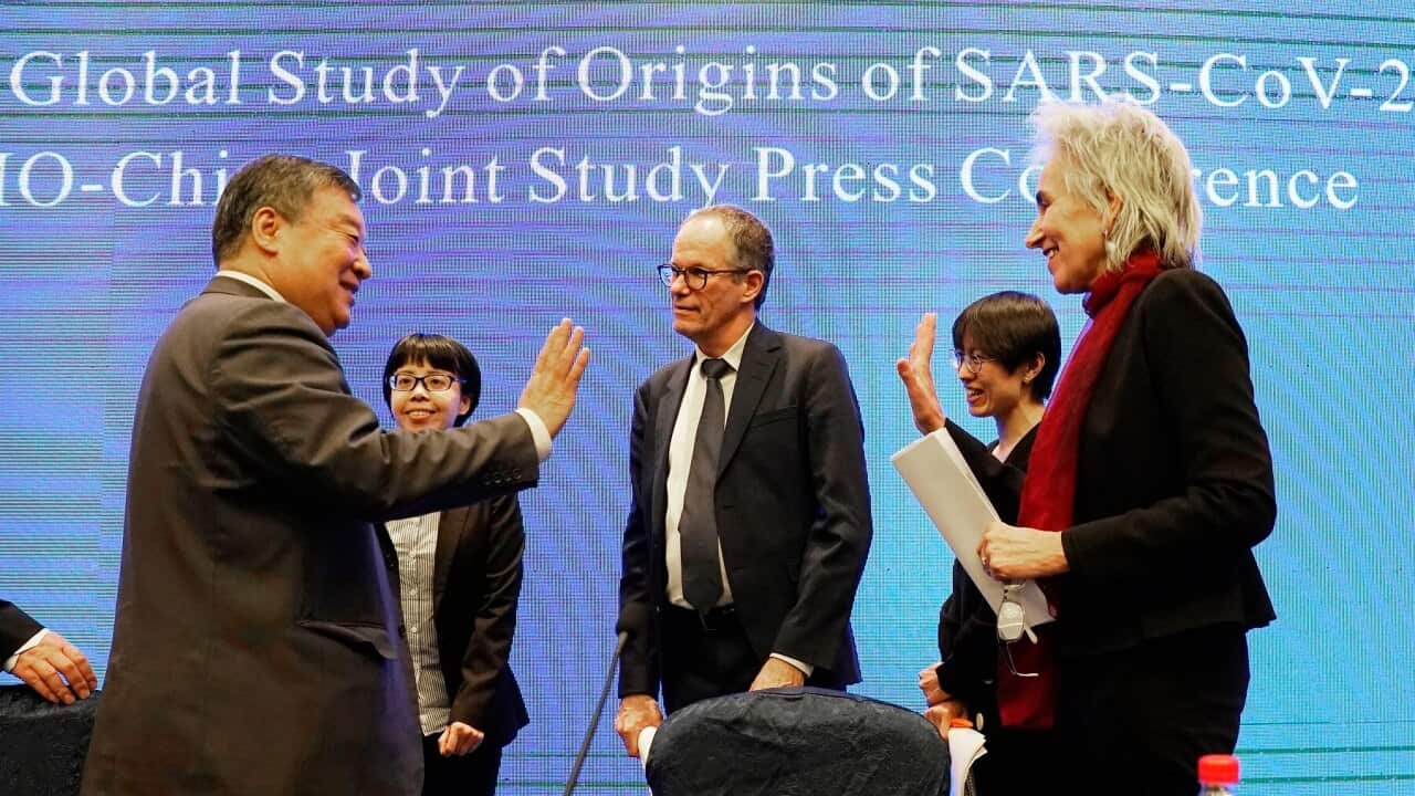 Marion Koopmans (R) and Peter Ben Embarek (c) of the WHO team farewell their Chinese counterpart Liang Wannian