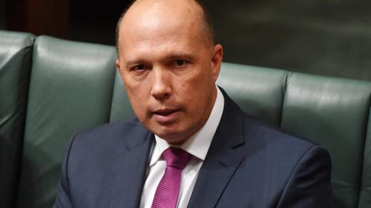 Peter Dutton during Question Time