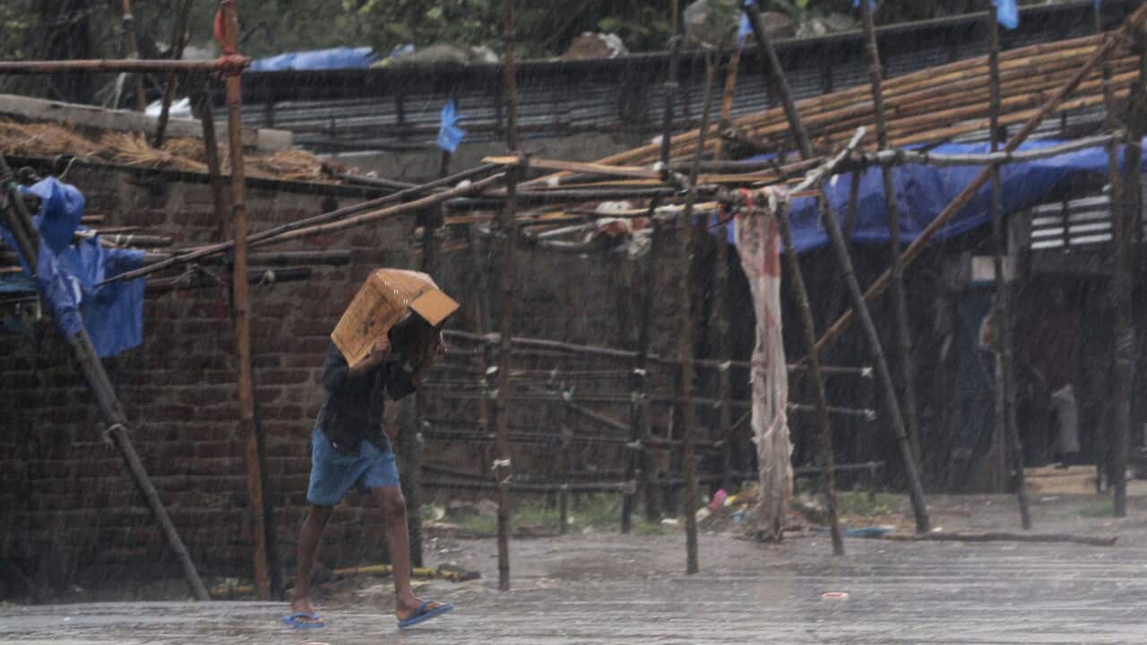 A man covers him head with a box and walks in the rain (AAP)