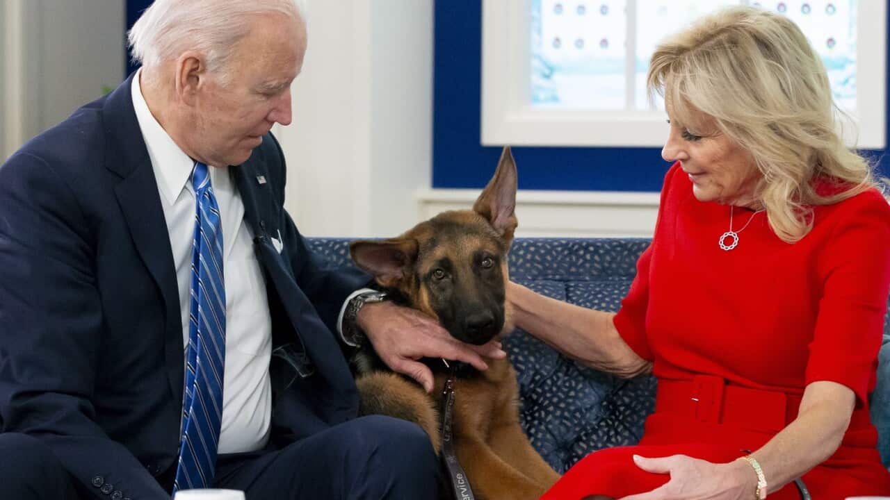 epaselect USA GOVERNMENT CHRISTMAS