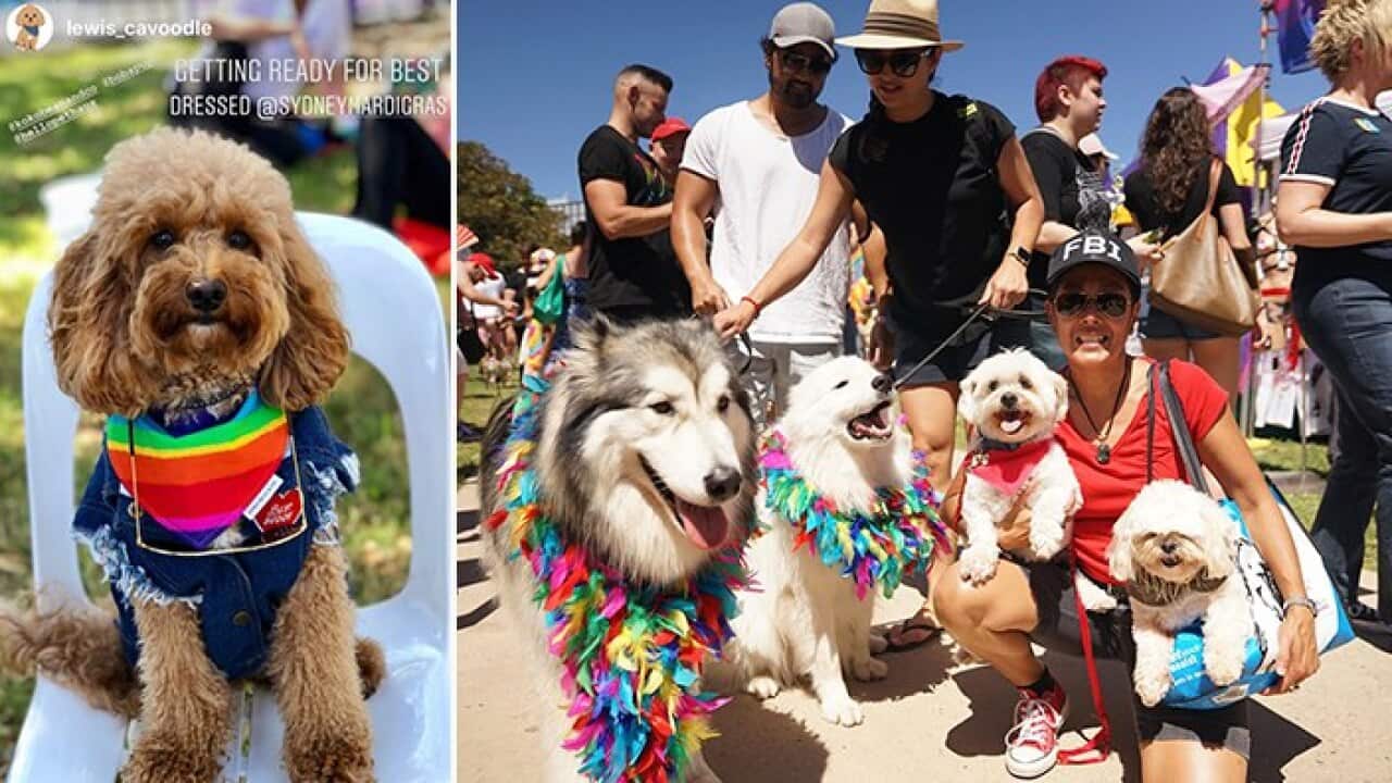 Image for read more article ''