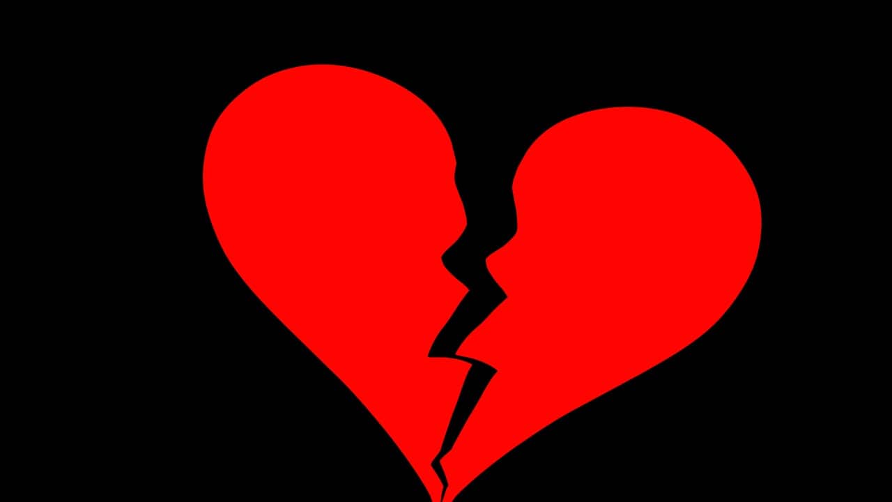 Image for read more article 'READ MORE'