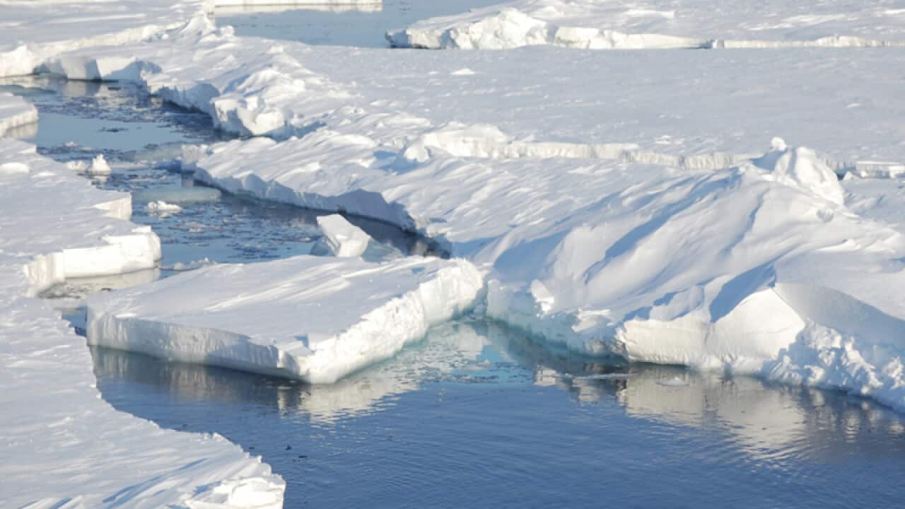 ice floats in the Arctic near Svalbard