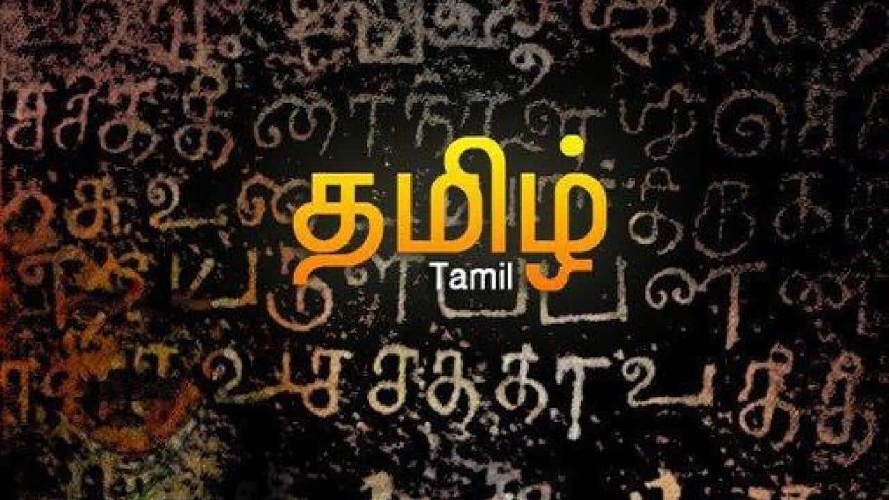Tamil language