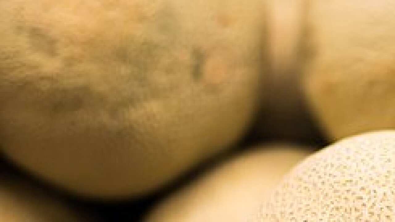 Two people have died in NSW due to a listeria outbreak