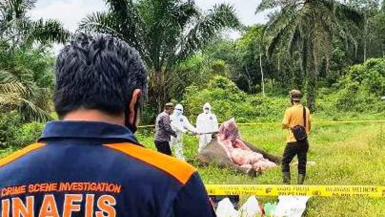 Polisi menyelidiki kematian gajah tanpa kepala. foto dok Polres Aceh Timur