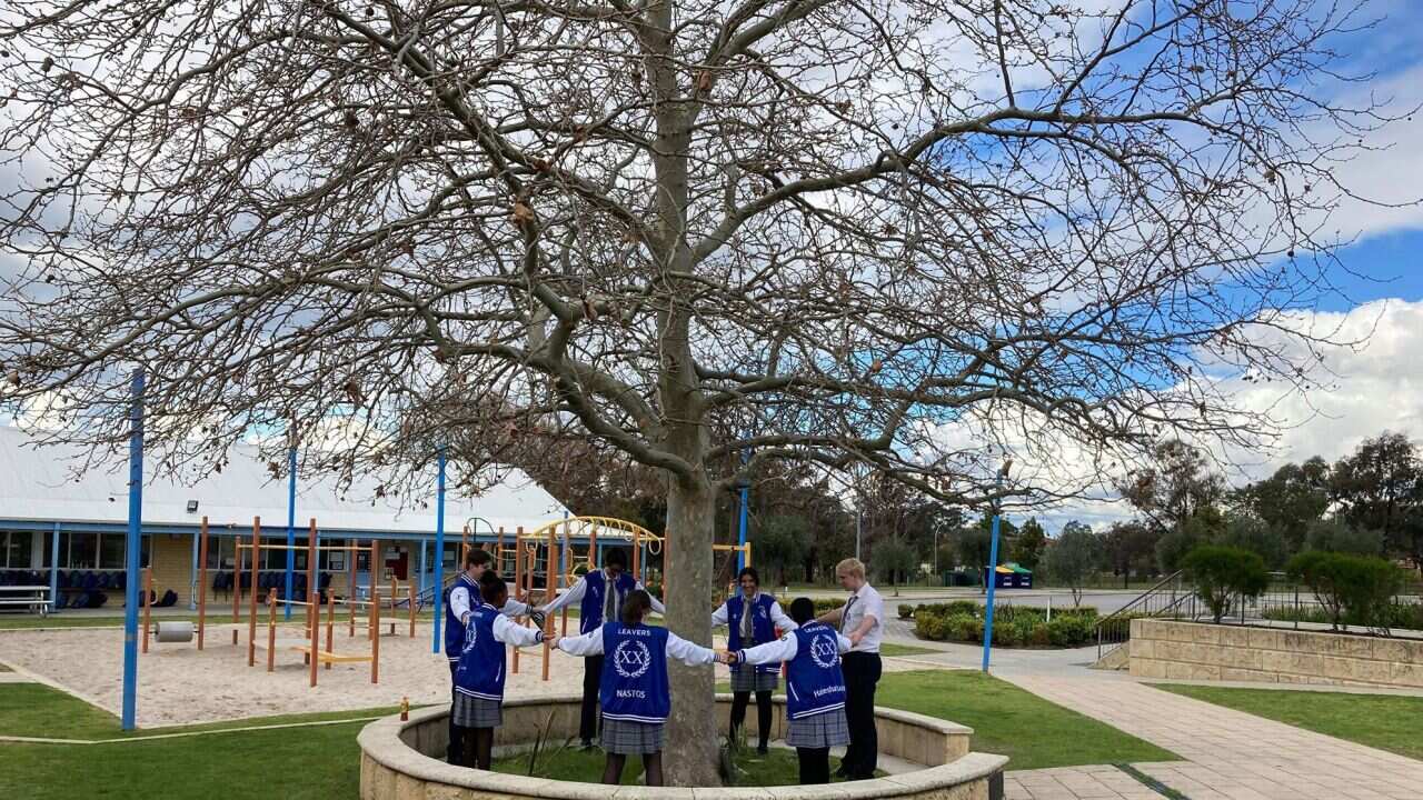 Image for read more article 'ΔΕΙΤΕ ΑΚΟΜΗ'