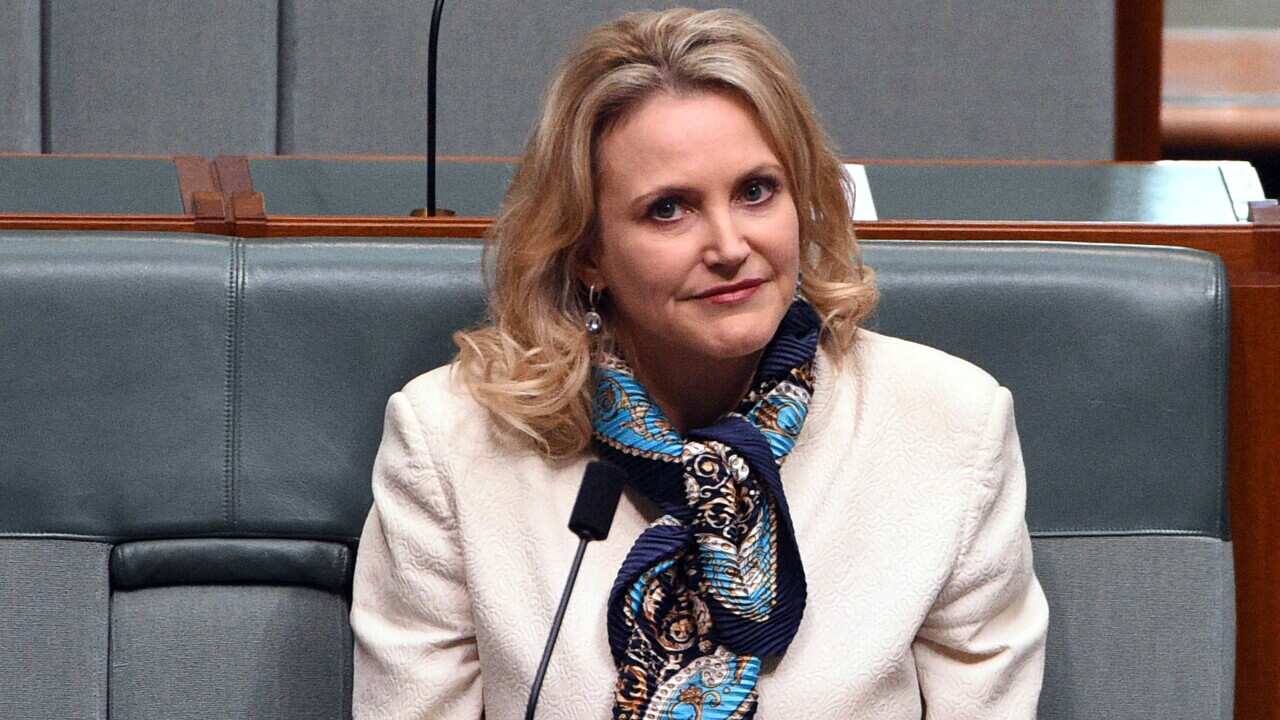 Labor Member for Fremantle Melissa Parke prepares to give her valedictory speech at Parliament House in Canberra, Wednesday, May 4, 2016. (AAP Image/Mick Tsikas) NO ARCHIVING