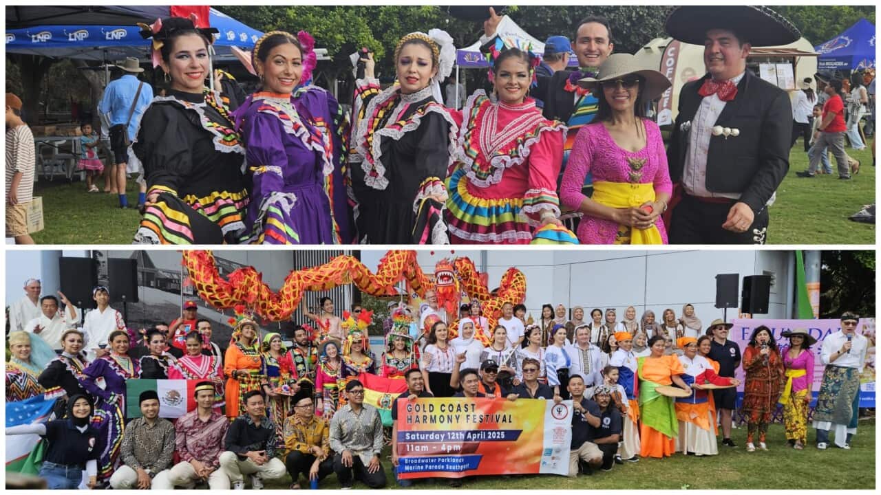 Photo 1: Mexican Dancers at Harmony Day Festival 2025, Broadwater Parkland, Gold Coast. Credit photo: Thelma.
Photo 2: People involved in the Gold Coast Harmony Day Festival 2025 at Broadwater Parkland. Credit photo: Garry Schlatter.