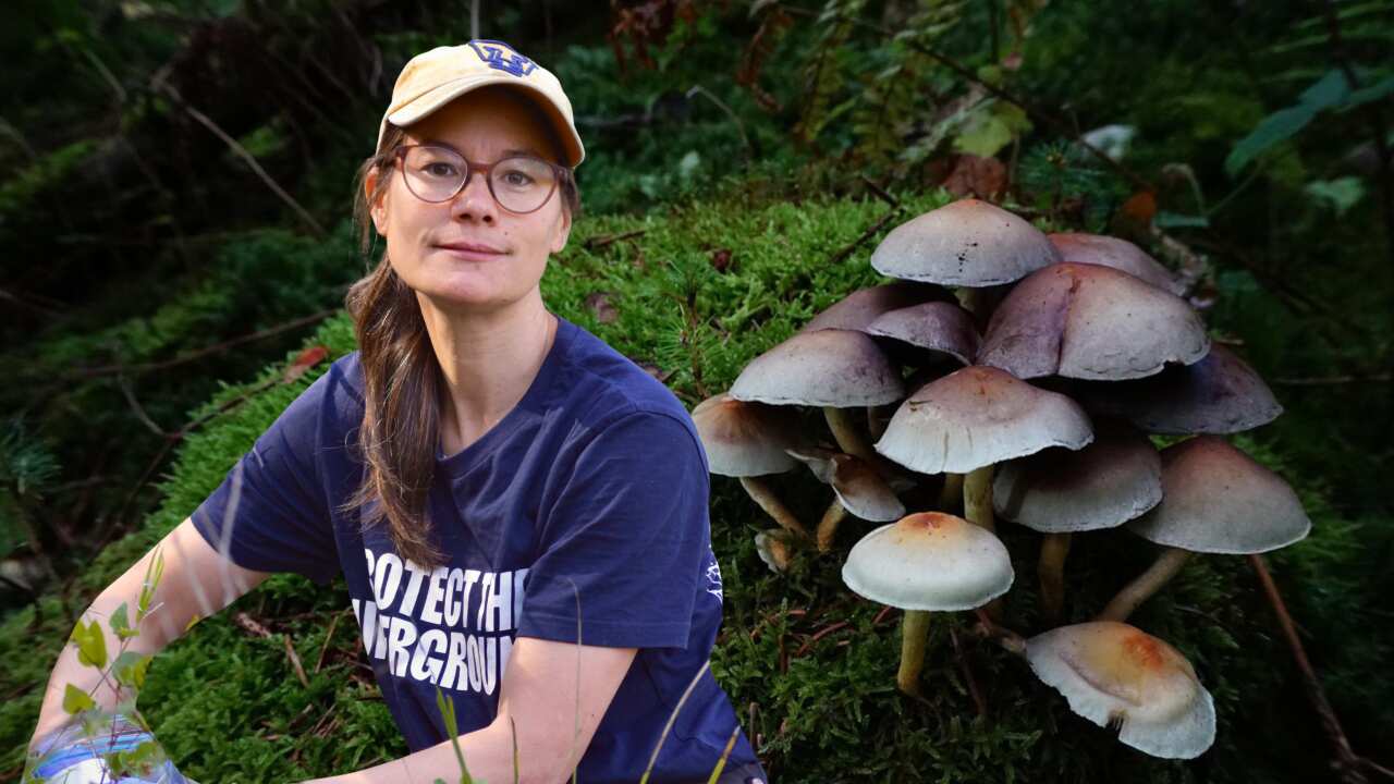 Copy of Composition Story Australian Open (6000 x 4000 px).png