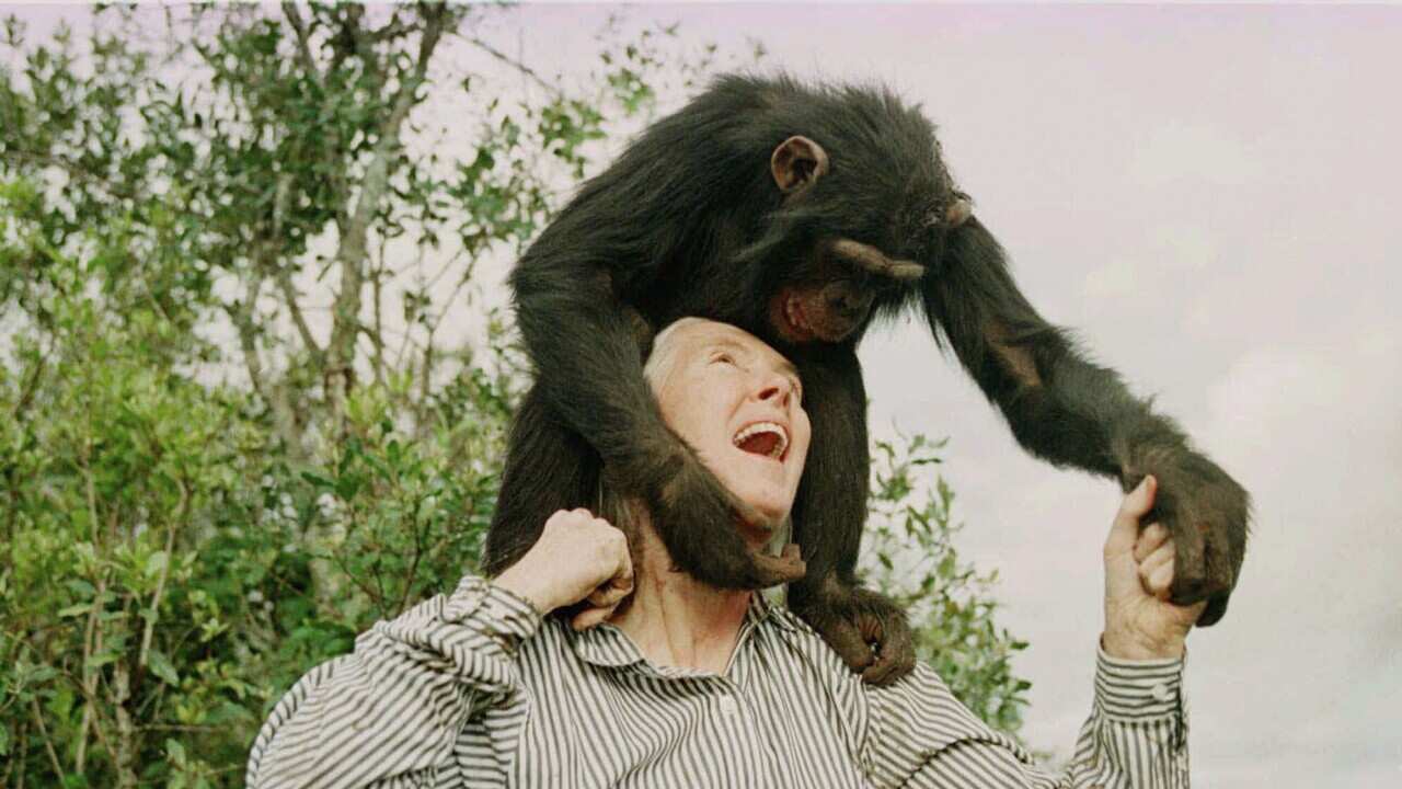 PLAYING WITH BAHATI