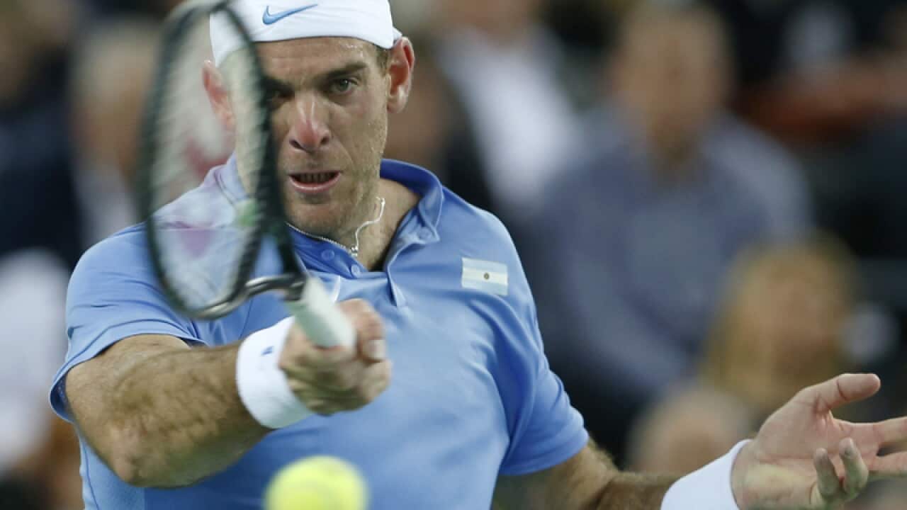 Argentina's Juan Martin Del Potro