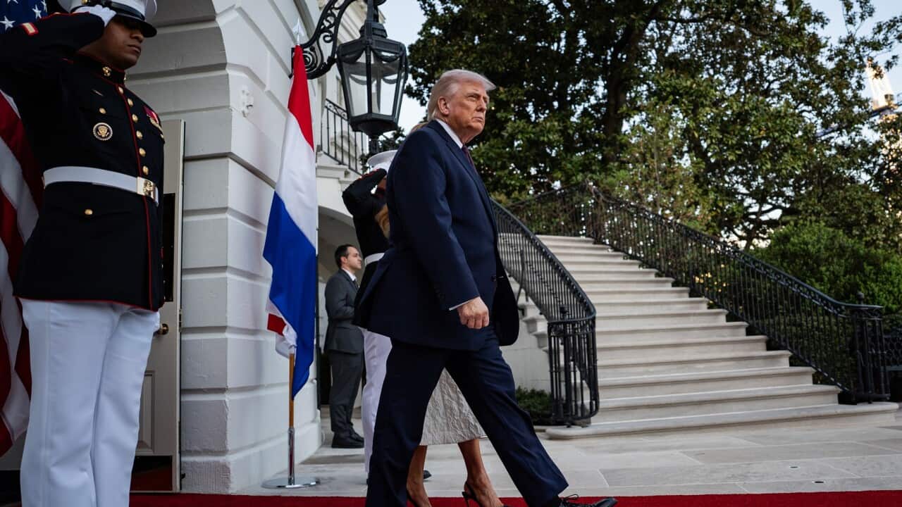 US President Trump hosts Dutch King and Queen at White House dinner