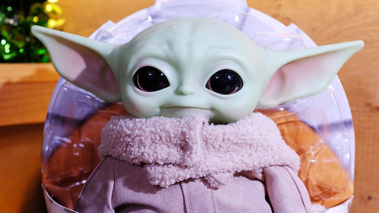 Una pareja de ancianos británica está agradecida por su buena estrella tras encontrar una pequeña fortuna en bolsas de basura