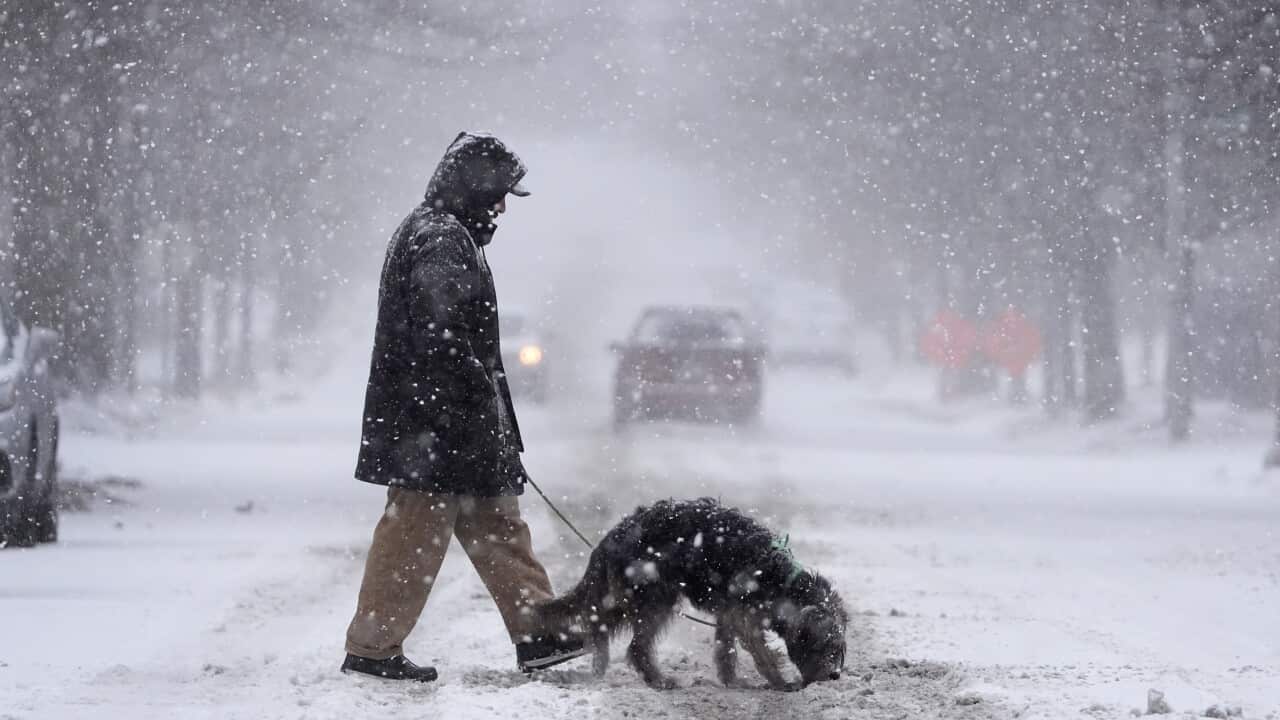 A man walking a dog in a snowstorm