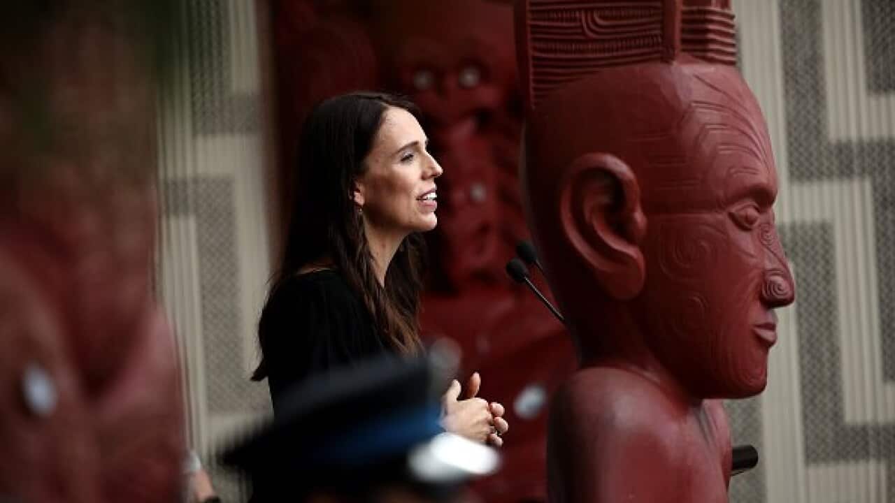 The report is damning of the Ardern government's treatment of Maori families