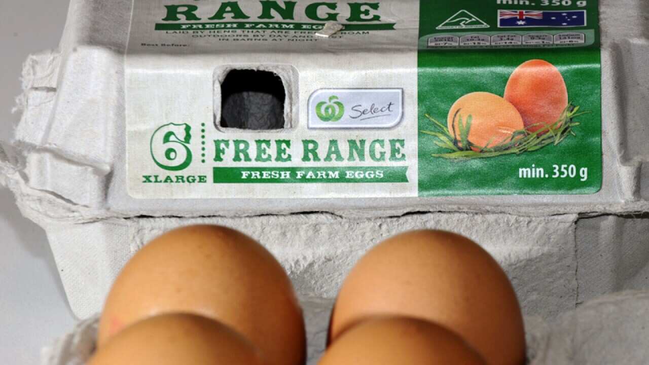 Free range eggs.