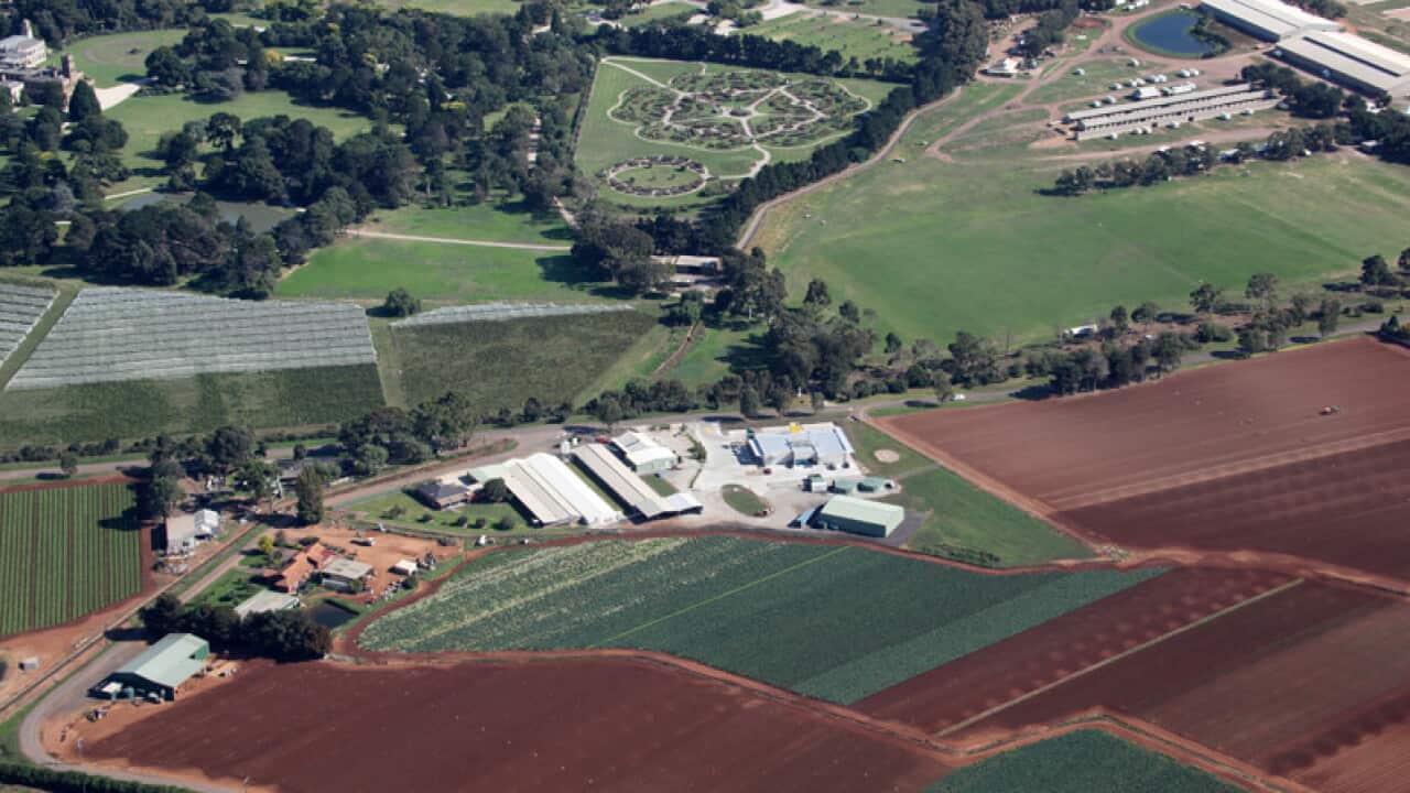Aerial view of a large agricultural property with crop fields, farm buildings, access roads and surrounding parkland, showing a mix of cultivated land and green open spaces.