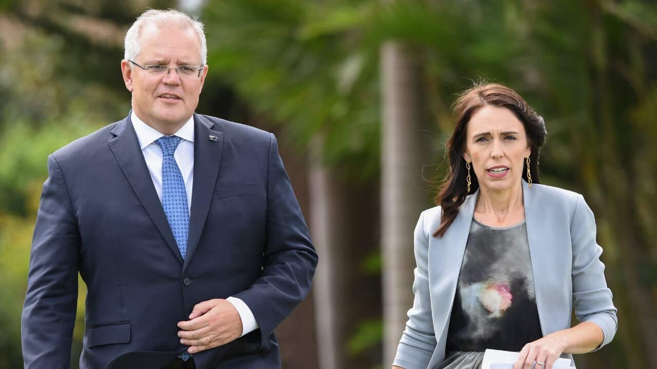 Morrison, Jacinda Ardern