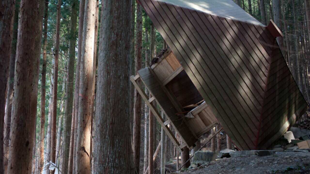 Japan_Quake_Forest_160411_B_Getty_693303849