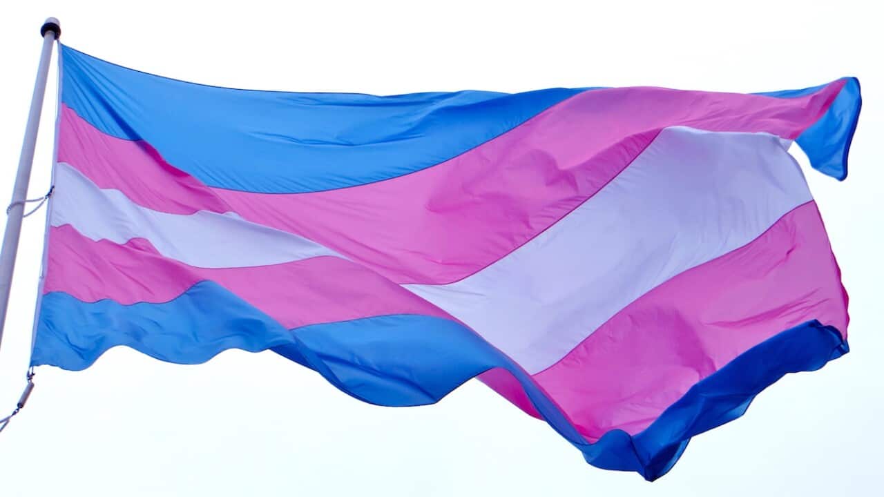 Calls for Japan to stop forced sterilisation of trans people seeking legal gender recognition