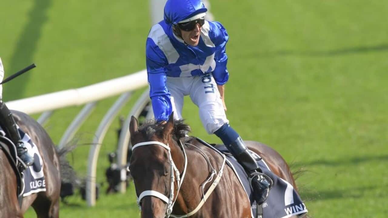 Jockey Hugh Bowman rides Winx to victory in the Queen Elizabeth.