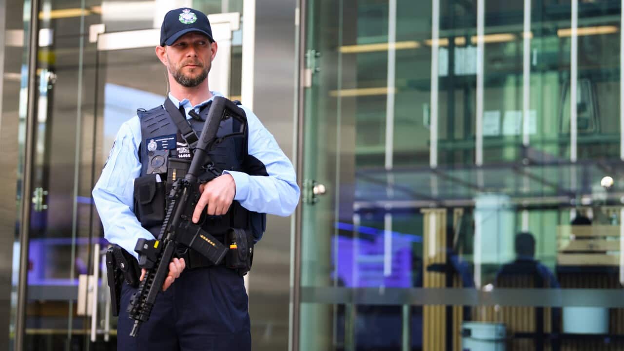 Aviation safety and security, terror threat,