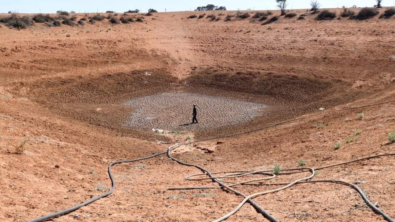 A farmer stands at the bottom of one of his empty dams