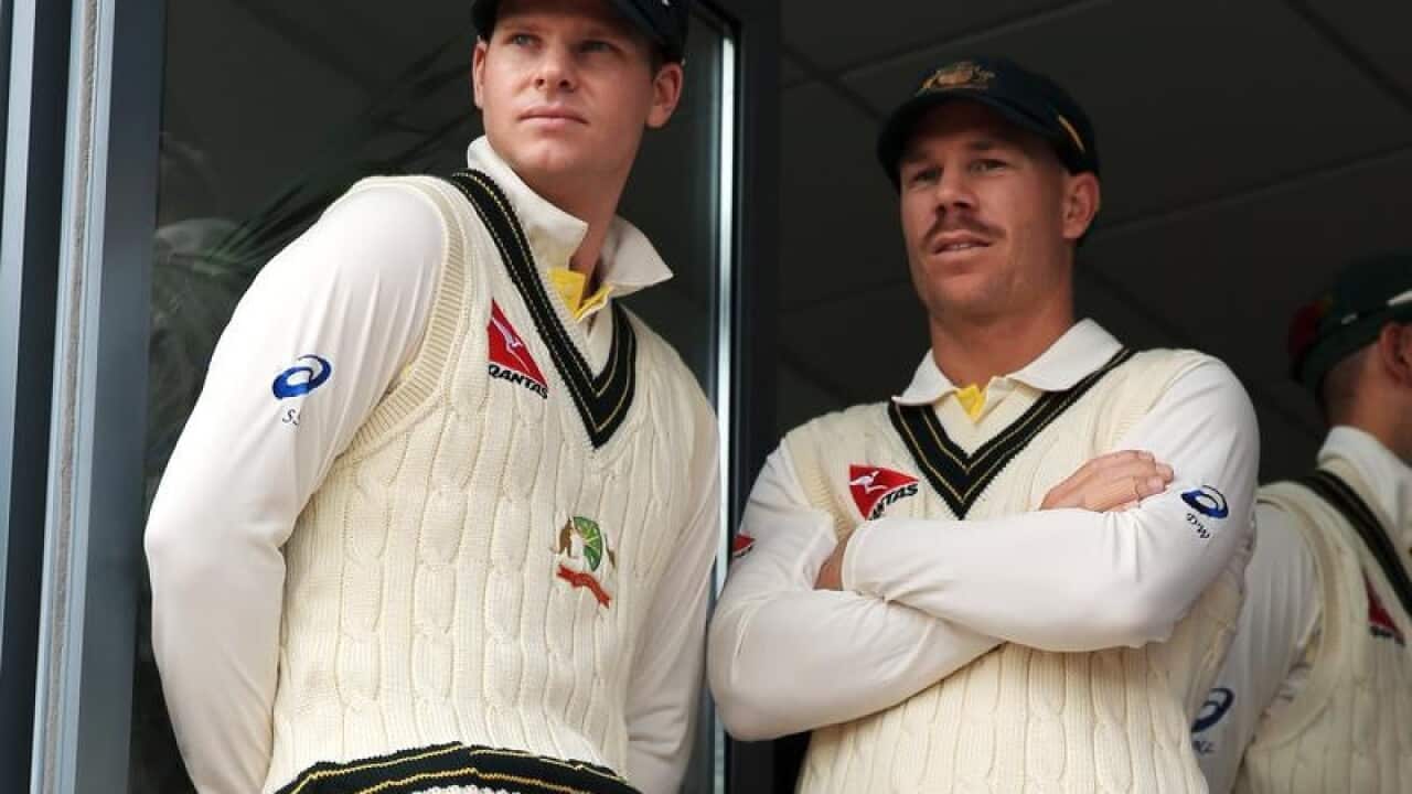 cricket