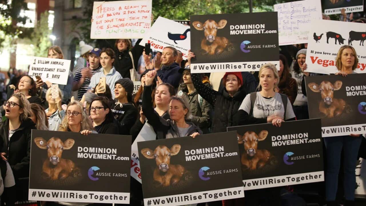 Animal rights protesters begin their six-month campaign by taking to the streets of Melbourne.