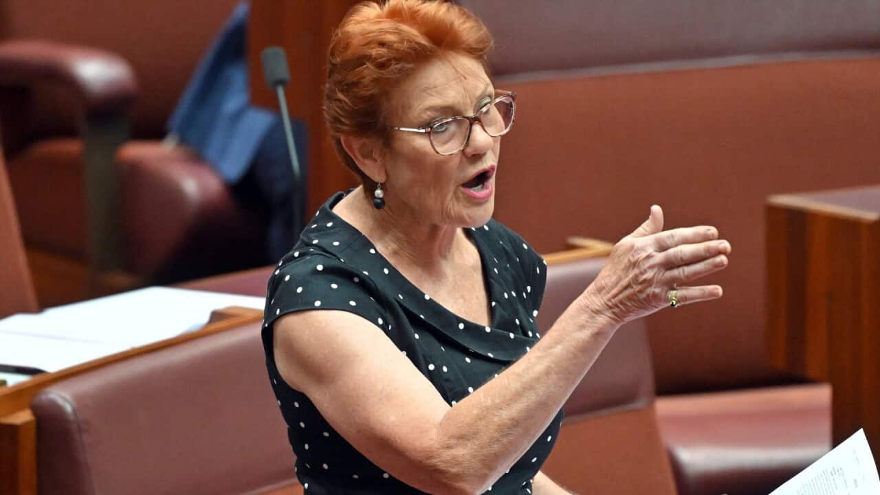 PAULINE HANSON SENATE