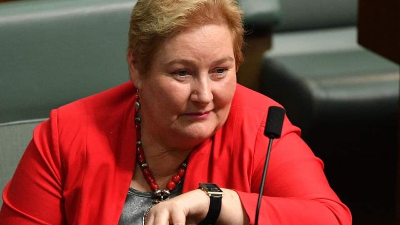 Liberal Member for Gilmore Ann Sudmalis.