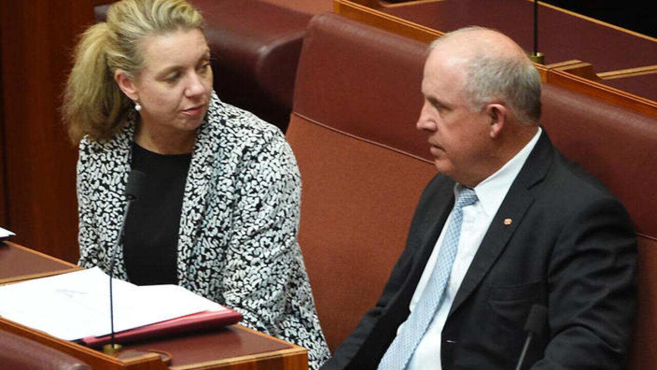 Nationals Senators Bridget McKenzie and John Williams during the Registered Organisations Bill vote in the Senate at Parliament Hose in Canberra, Monday, Nov. 21, 2016. (AAP Image/Mick Tsikas) NO ARCHIVING