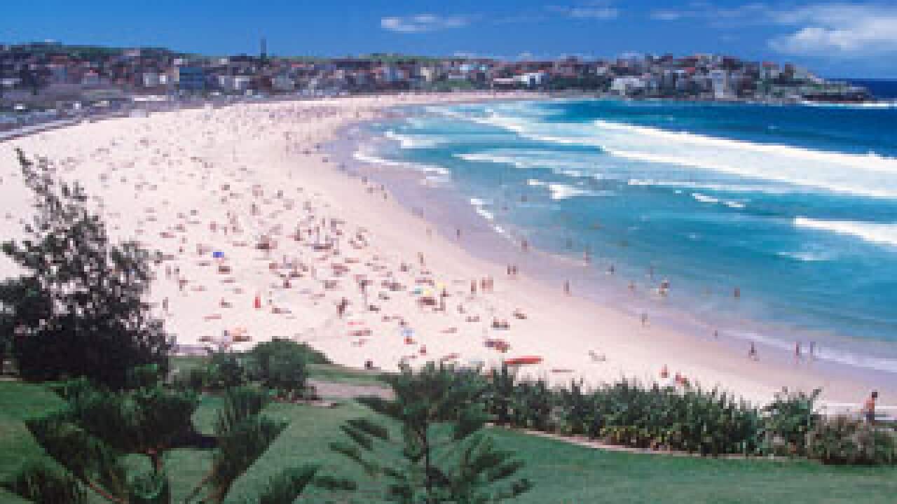 Bondi Beach