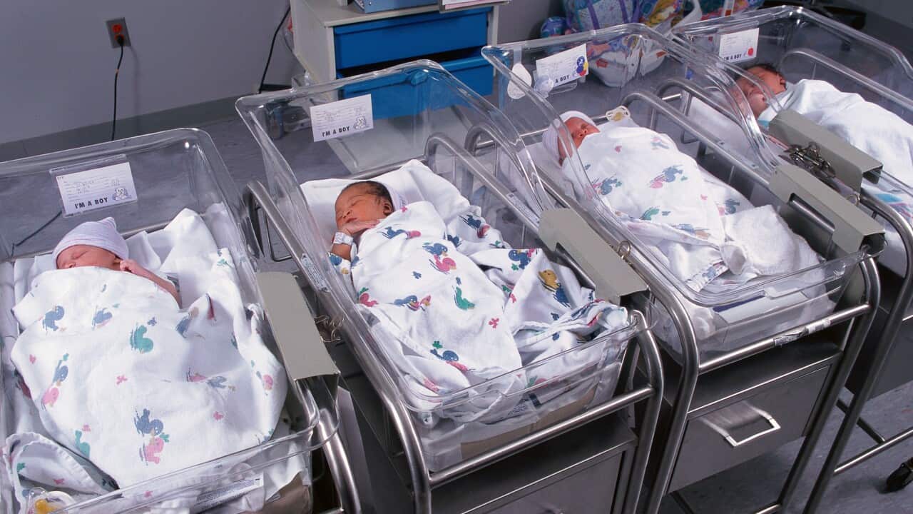 Newborns in hospital nursery