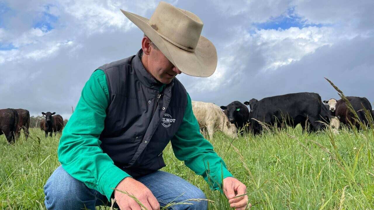 Image for read more article 'READ MORE'