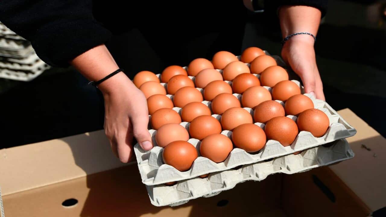 Nearly 207 million eggs from a farm in North Carolina are being recalled from nine U.S. states.
