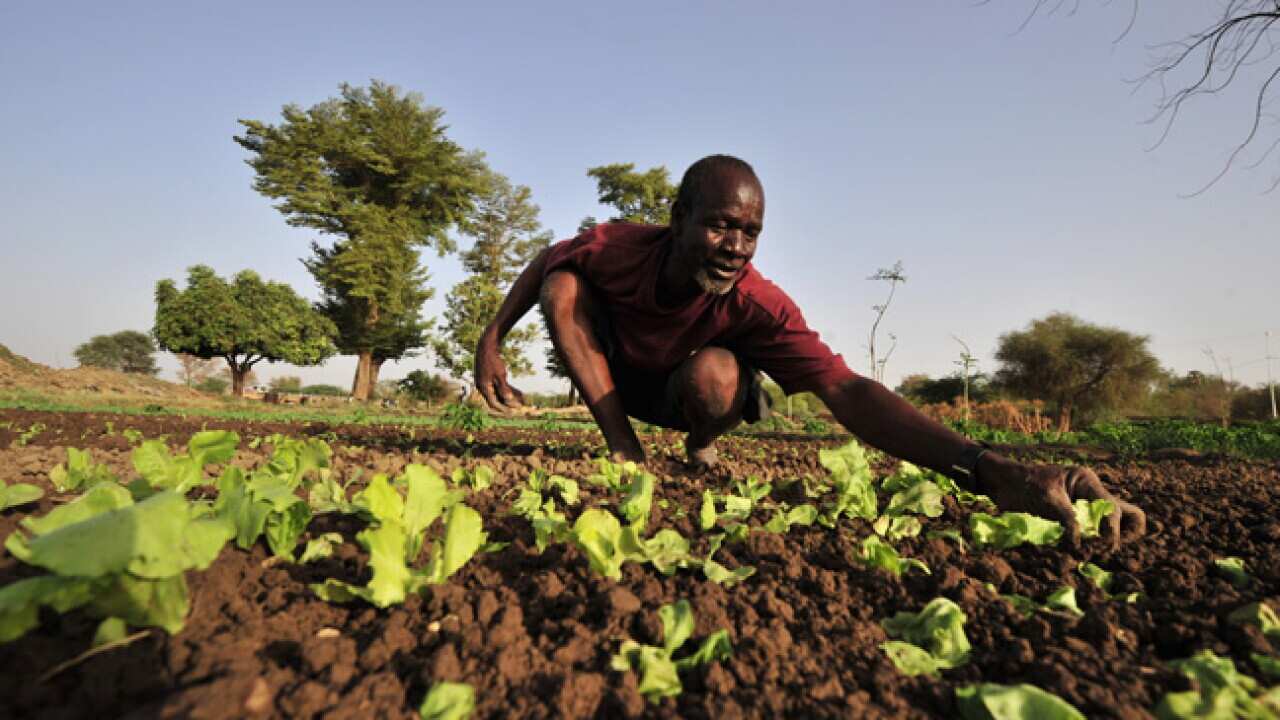 Food_crisis_Niger_planting_120618_lg_getty_1076668466