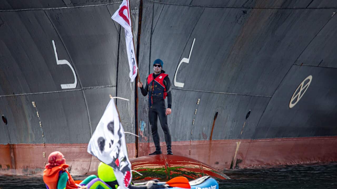 Activists try to prevent Holland America's cruise liner MS Zuiderdam from entering the port of Kiel, Germany.