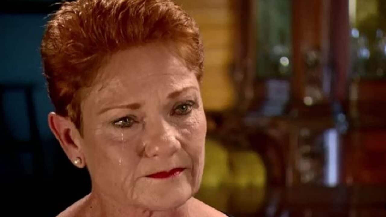 Ms Hanson on A Current Affair.