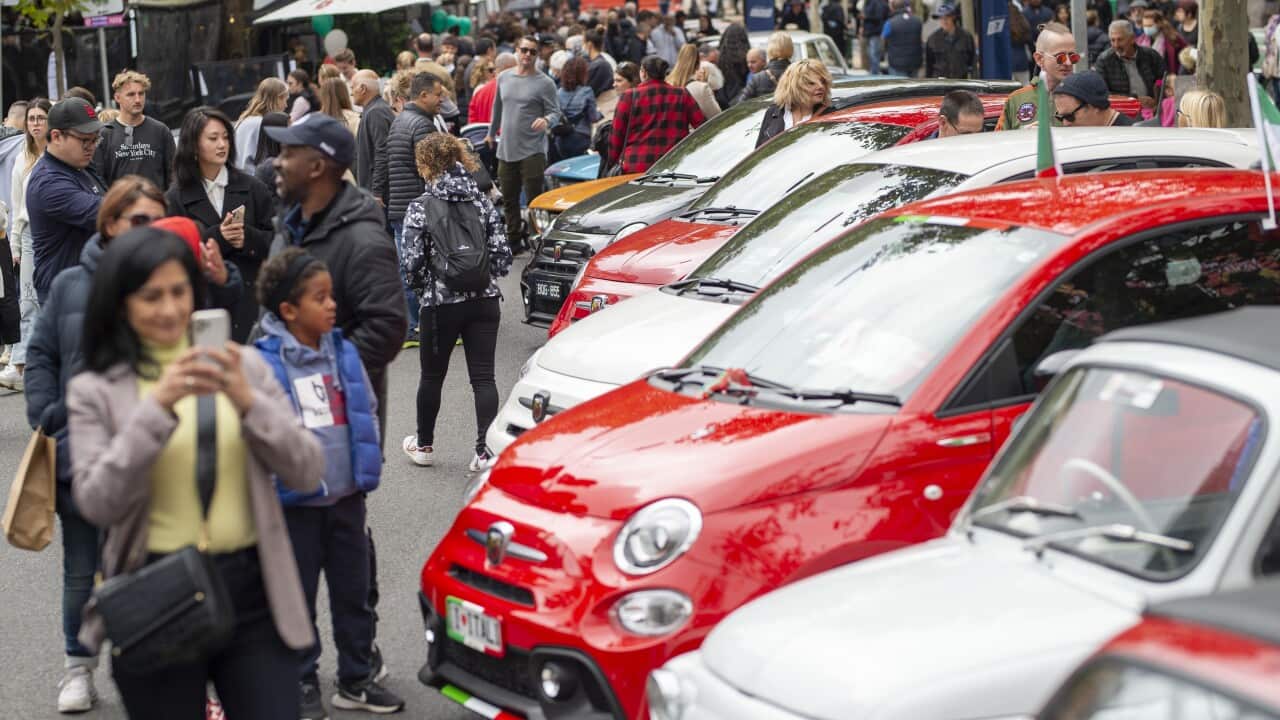 mleb italian festa_Festa2022-6255.jpg