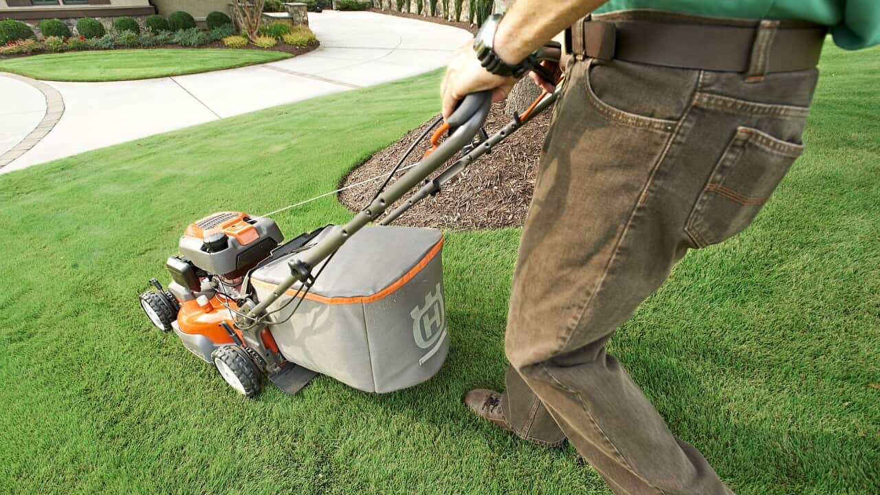 How do I properly maintain my lawn in summer?