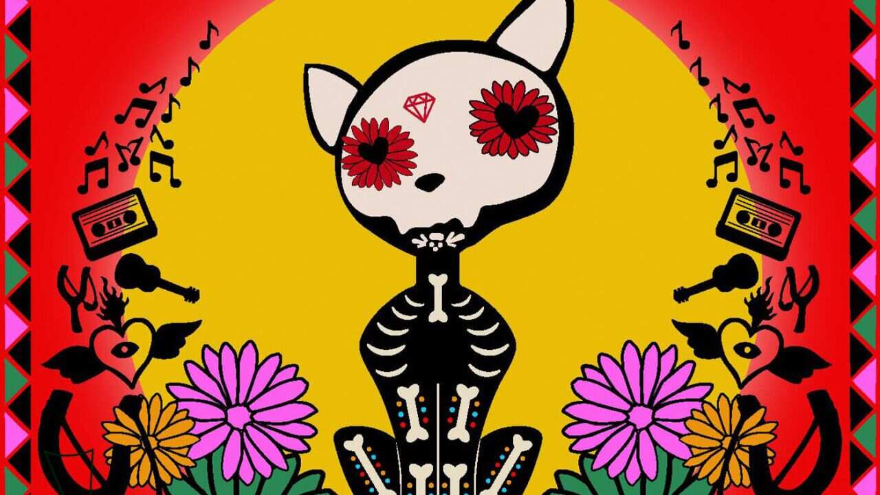 Podcast Katapult NPO Zapp