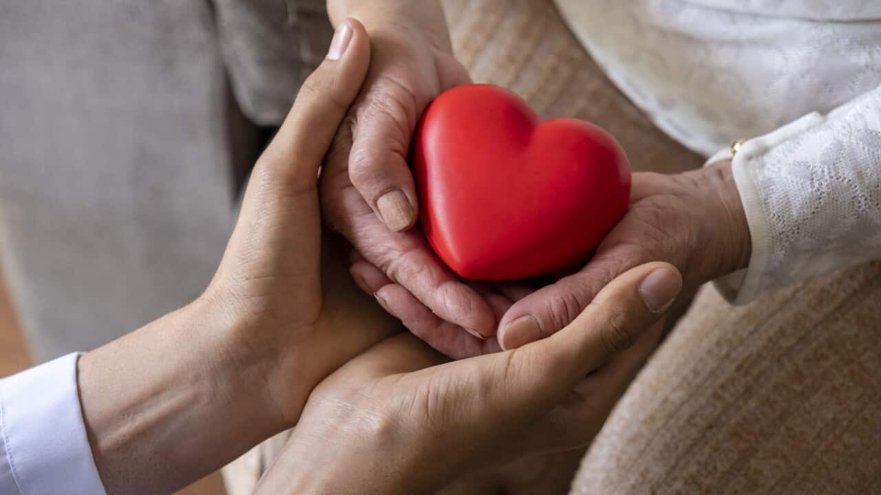 Taking care for the elderly concept with a wrinkled hands and young hands holding a red heart shape
