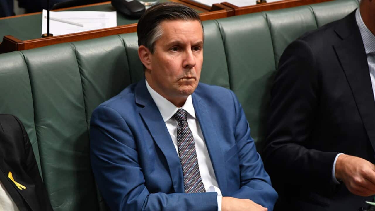 Labor Party president Mark Butler (AAP)