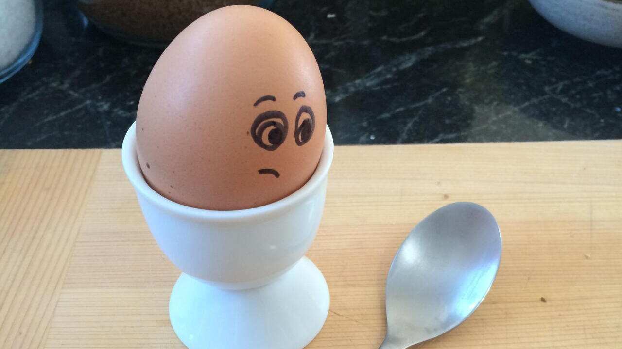 Egg