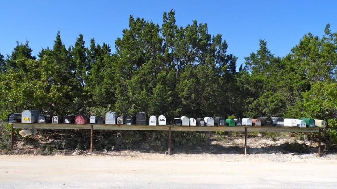 mailbox Trees