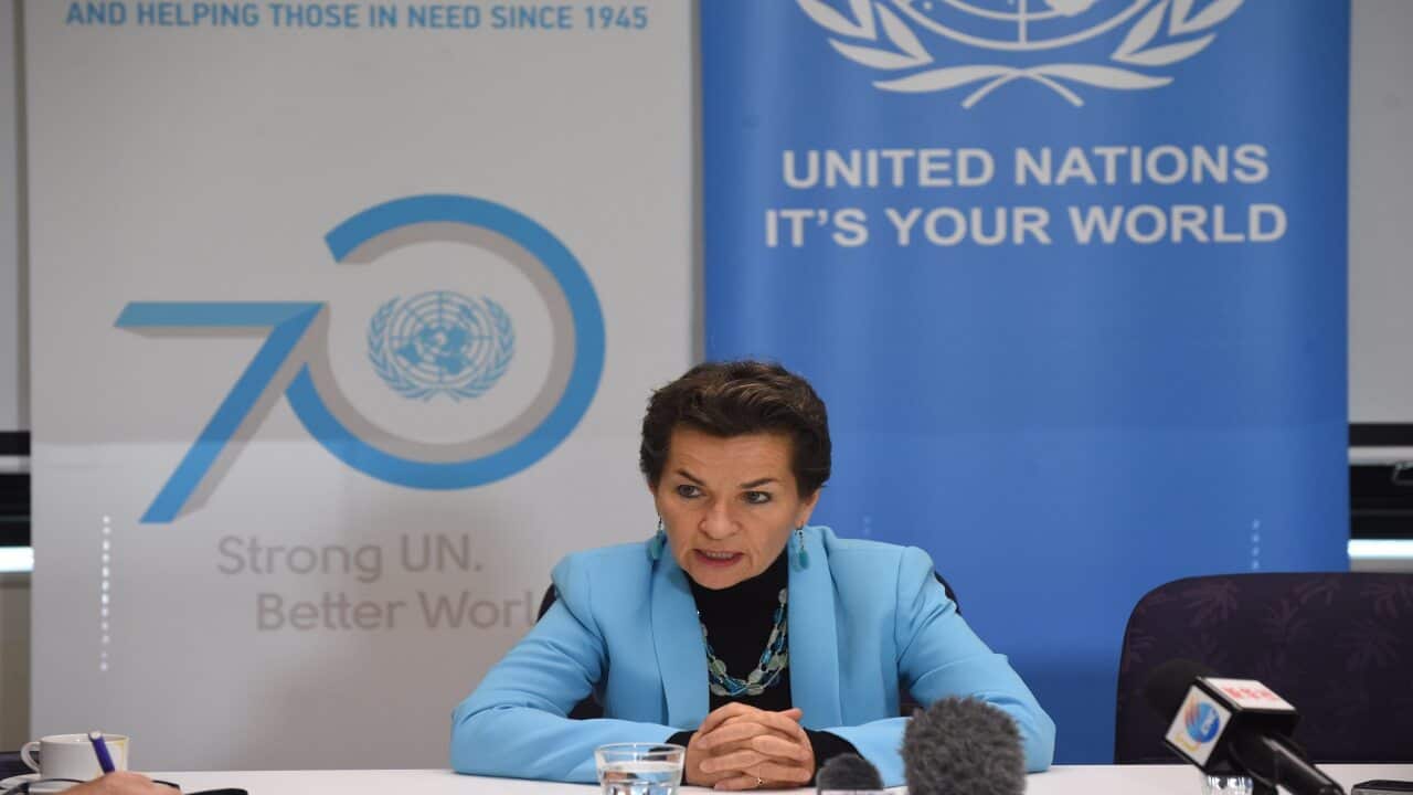 Christiana Figueres was executive secretary of the United Nations Framework Convention on Climate Change through the Paris Agreement talks.