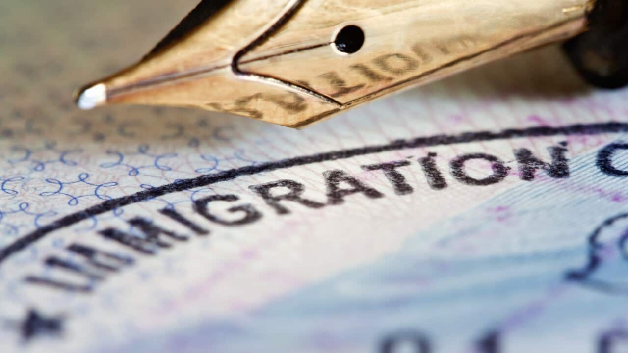 Immigration and visa