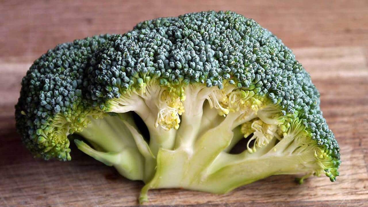 Broccoli